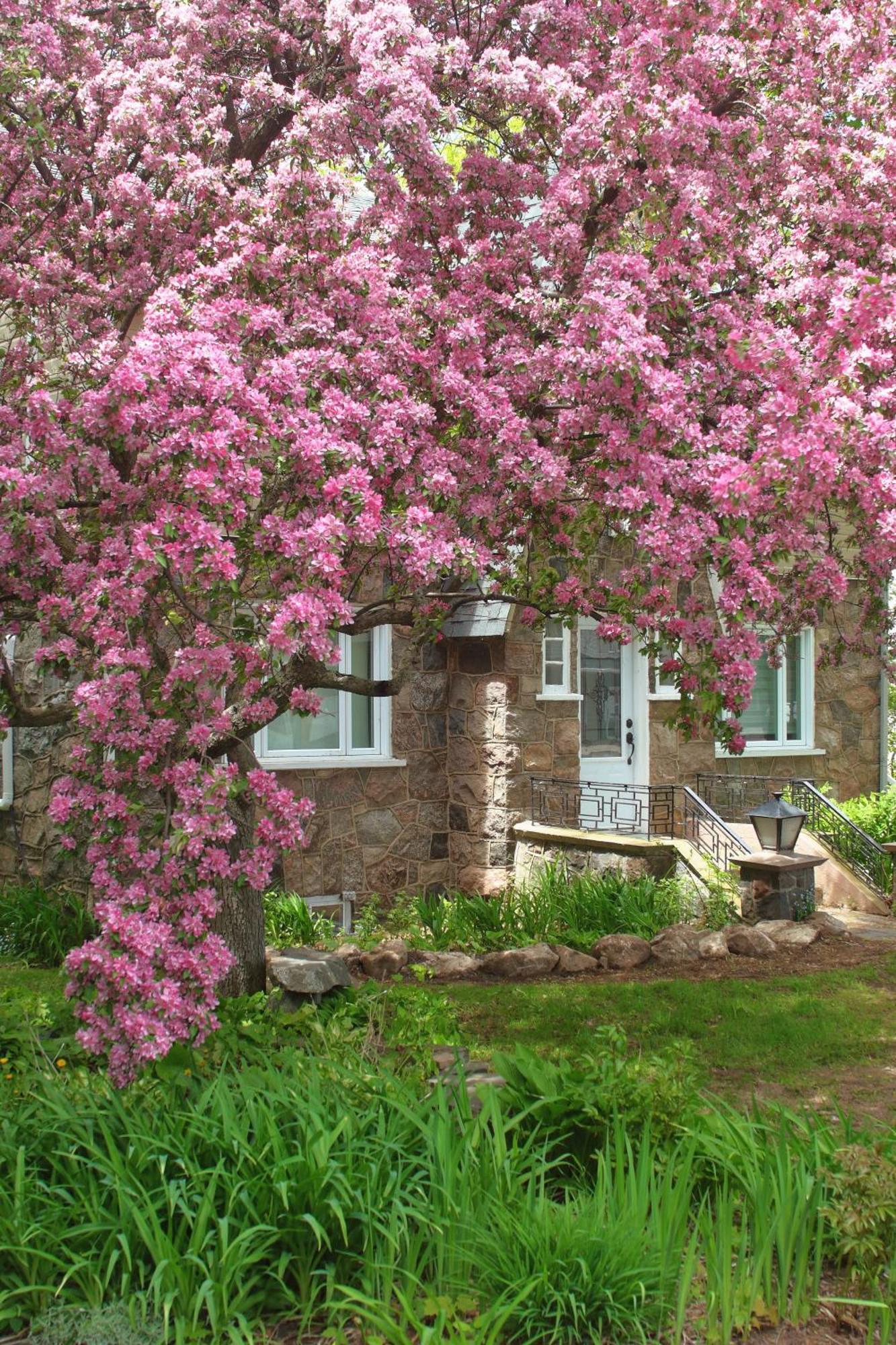 Rester Vivant Chambres D'Hotes Saint-Jean-Port-Joli Eksteriør billede